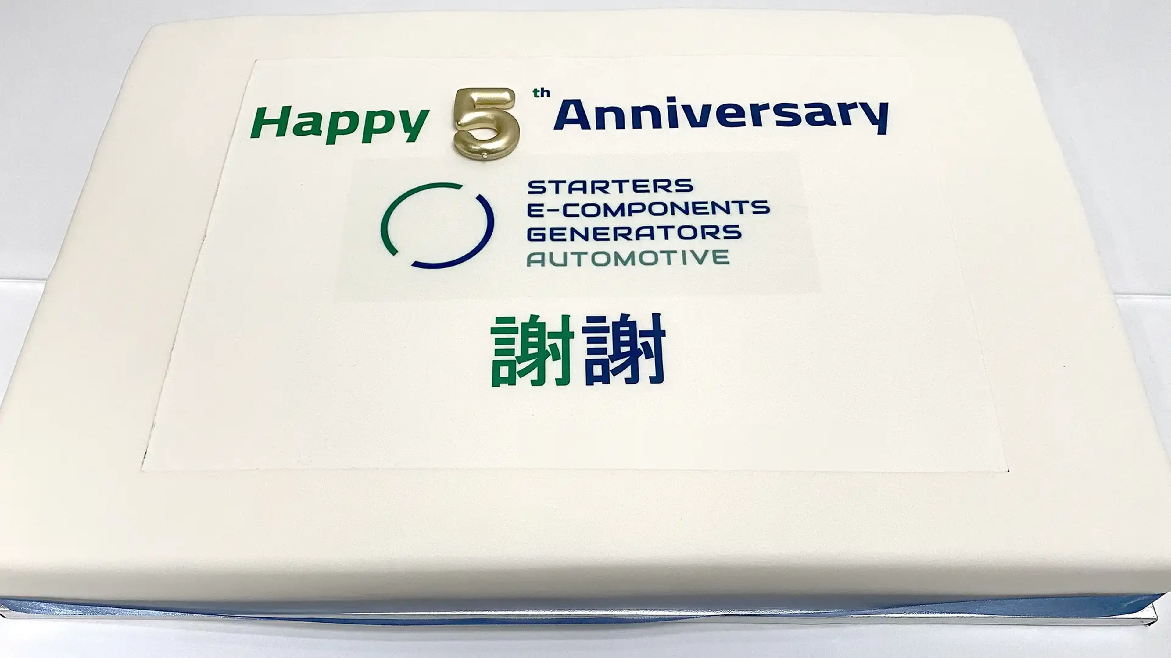 S.E.G.A. Hungary 5th anniversary cake